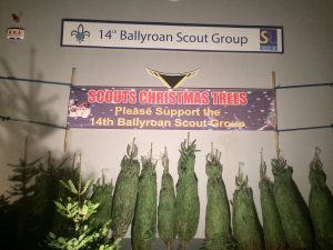 Christmas tree for sale!